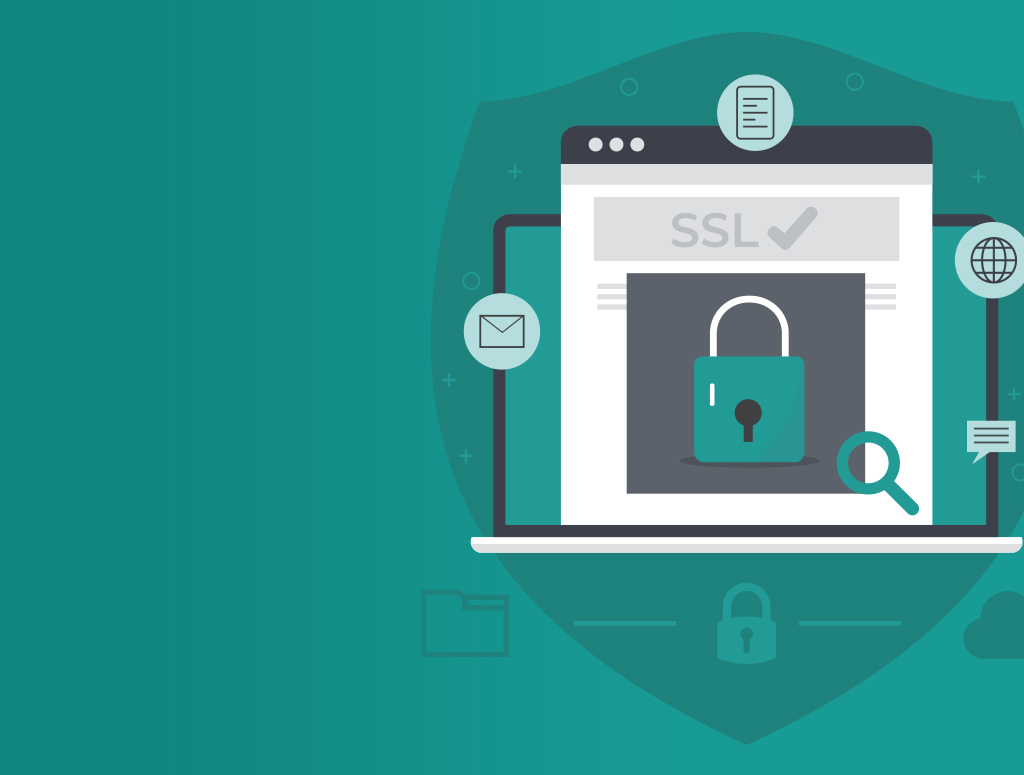 A beginner’s guide to website security