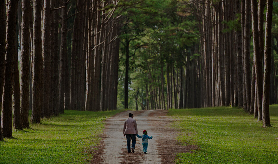 Image showing a mother and child walking in the forest