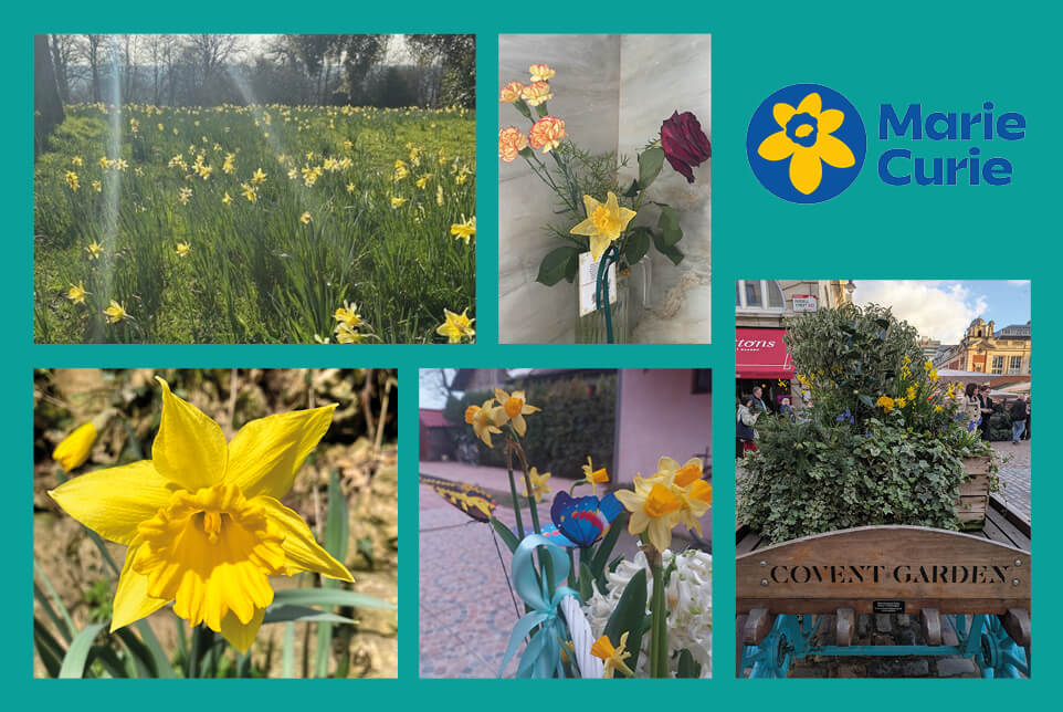 Image showing a collage of images